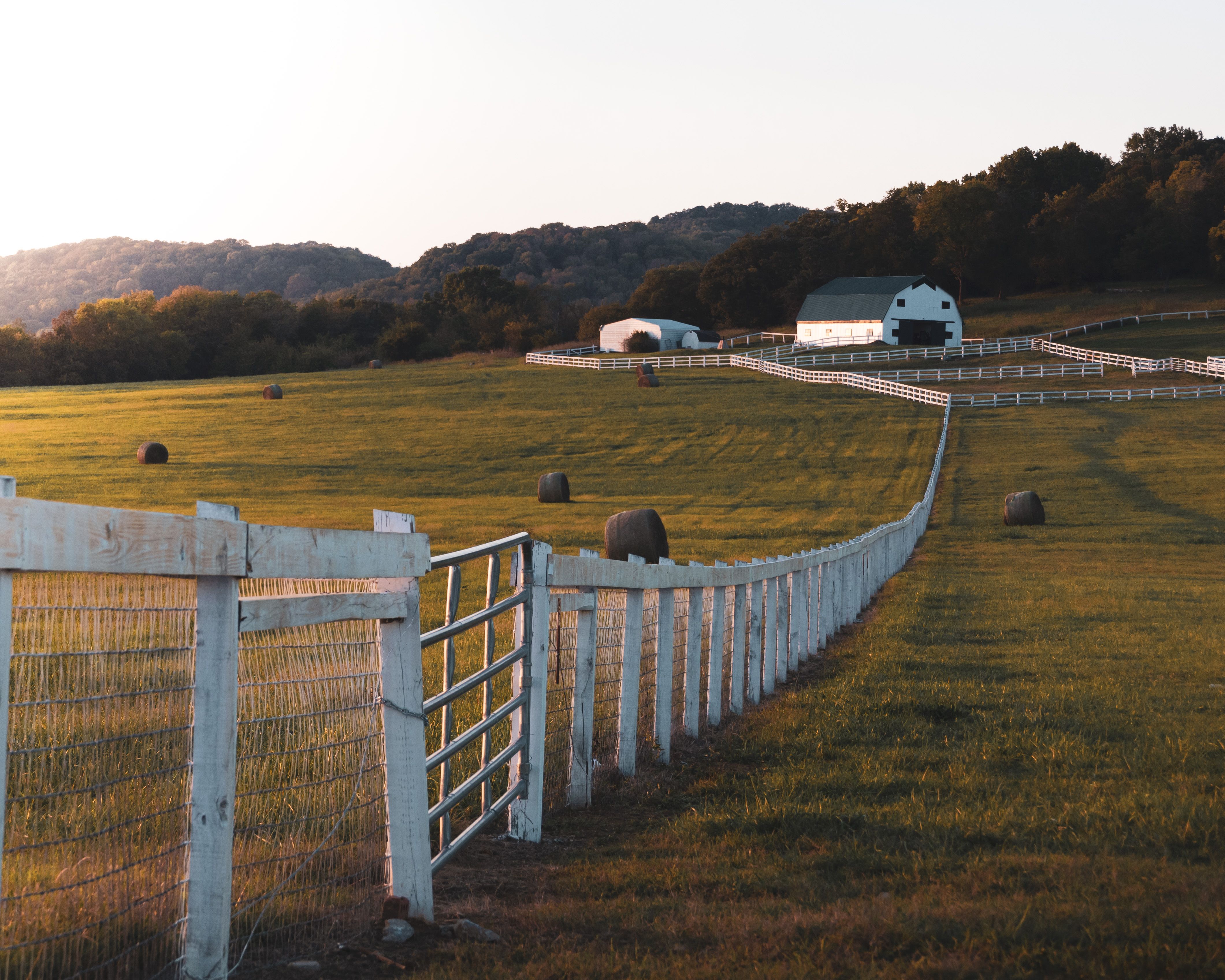White fence along a serene forest farmstead